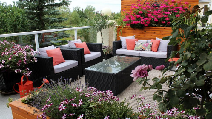 How to Start a Terrace Garden at Your Place