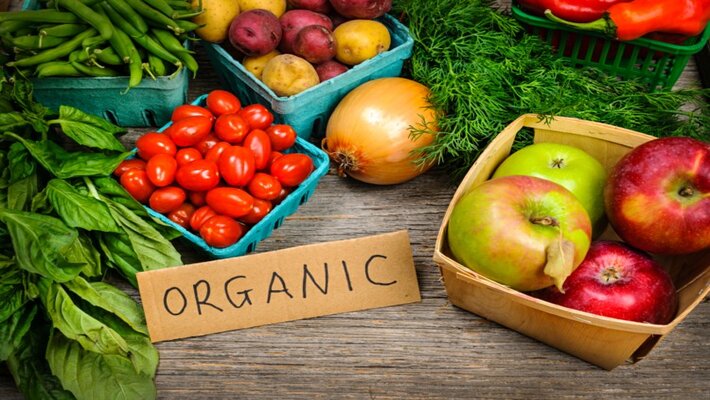 Switching to Organic Products, Here are 5 Indian Products to Consider in 2022 Switching to Organic Products, Here are 5 Indian Products to Consider in 2022