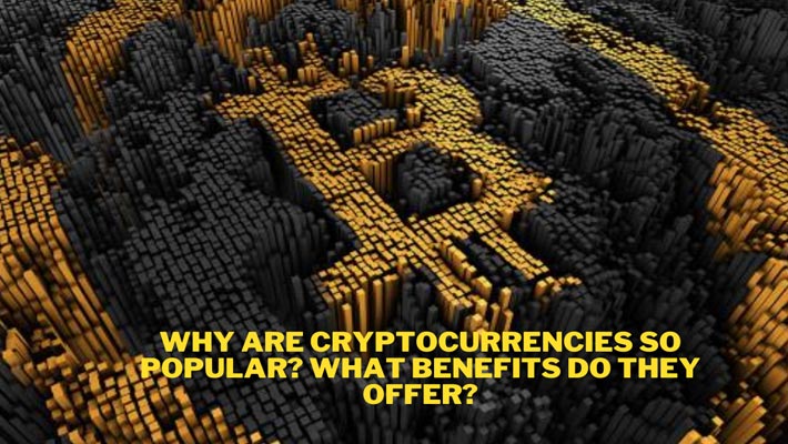 Why Are Cryptocurrencies So Popular? What Benefits Do They Offer?