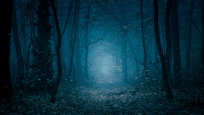 Elements of Horror & why it is Necessary in a Fictional Movie? Elements of Horror & why it is Necessary in a Fictional Movie?