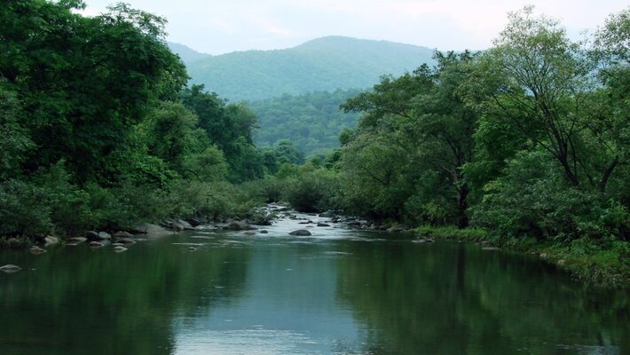 Famous National Parks and Wildlife Sanctuaries to Visit in Odisha Famous National Parks and Wildlife Sanctuaries to Visit in Odisha