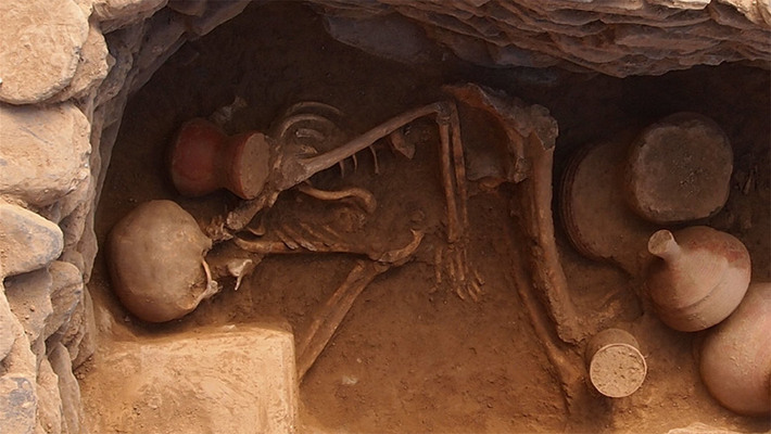 Ancient DNA Samples are Revealing all sorts of Unexpected & Controversial Findings Ancient DNA Samples are Revealing all sorts of Unexpected & Controversial Findings