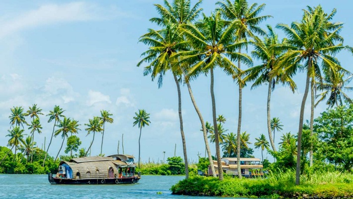 The Best Backwaters In Kerala To Explore