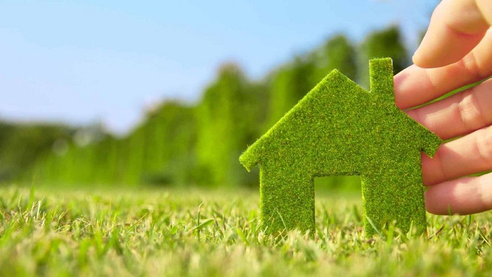 Top 5 Must Haves for a Nature Friendly Abode Top 5 Must Haves for a Nature Friendly Abode