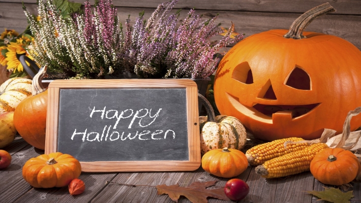 Spooky Pumpkin Garden Nights: Halloween Celebration Around the World