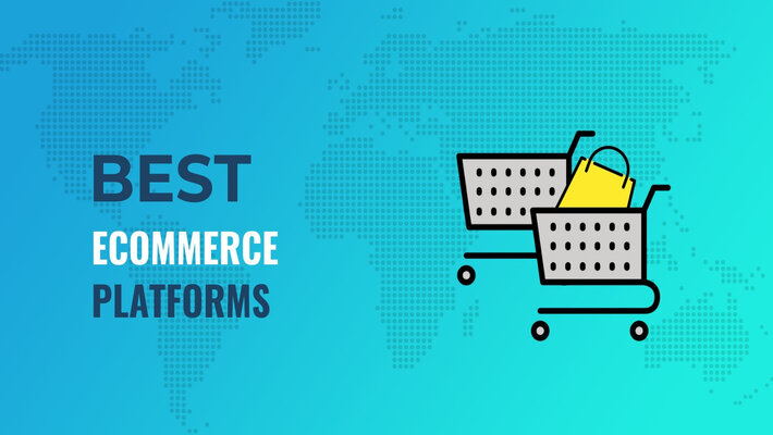 Best eCommerce Platforms for SMEs to do Business Other than Flipkart and Amazon