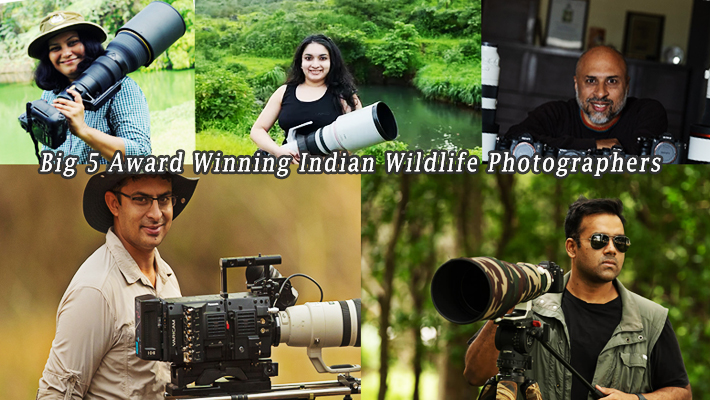 Big 5 Award Winning Indian Wildlife Photographers and their Masterpieces