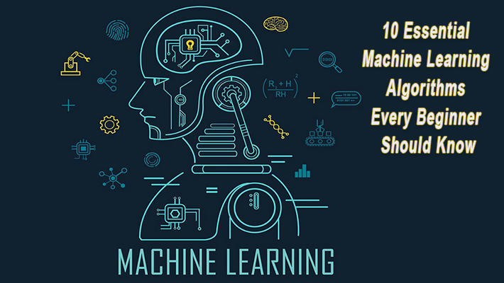 10 Essential Machine Learning Algorithms Every Beginner Should Know