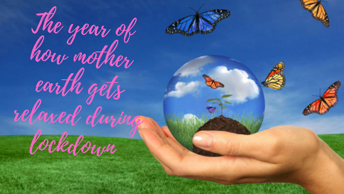 The Year of How Mother Earth Gets Relaxed During Lockdown The Year of How Mother Earth Gets Relaxed During Lockdown