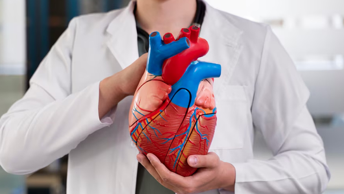Stenting Angioplasty